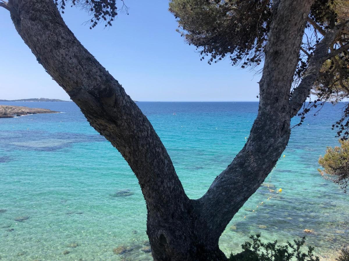 Les Baux 1 Apartment ซานารี-ซูร์-แมร์ ภายนอก รูปภาพ